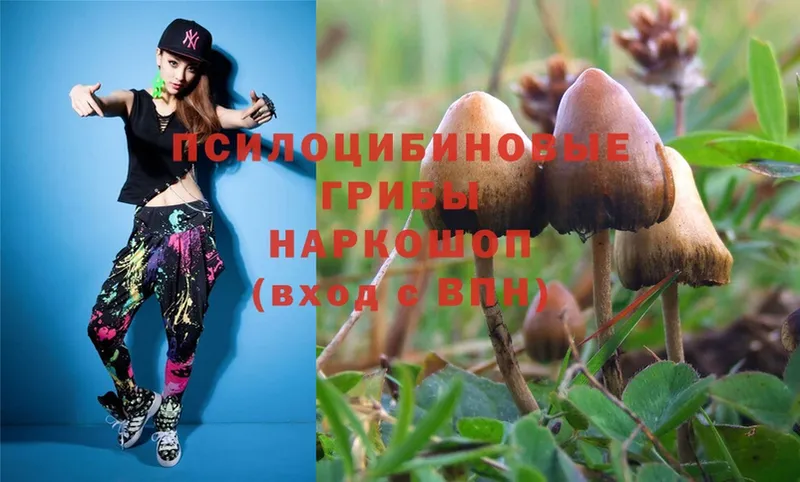 Псилоцибиновые грибы MAGIC MUSHROOMS  где продают   Рыльск 